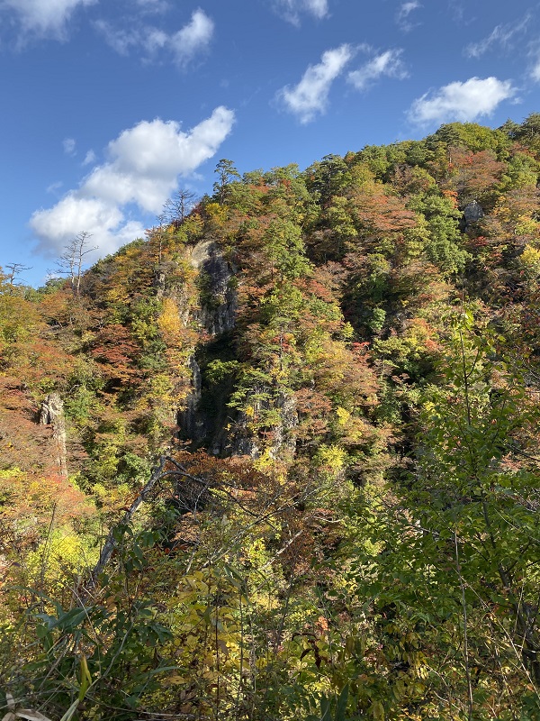 iphone11proで撮影鳴子レストハウスから見た鳴子峡の紅葉の写真