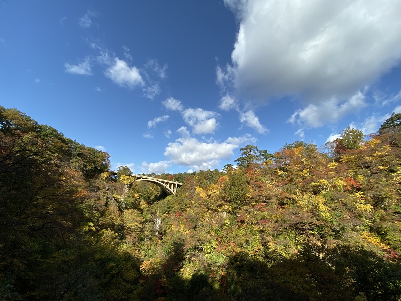 iphone11proで鳴子峡の遊歩道から鳴子峡を望んだ風景写真
