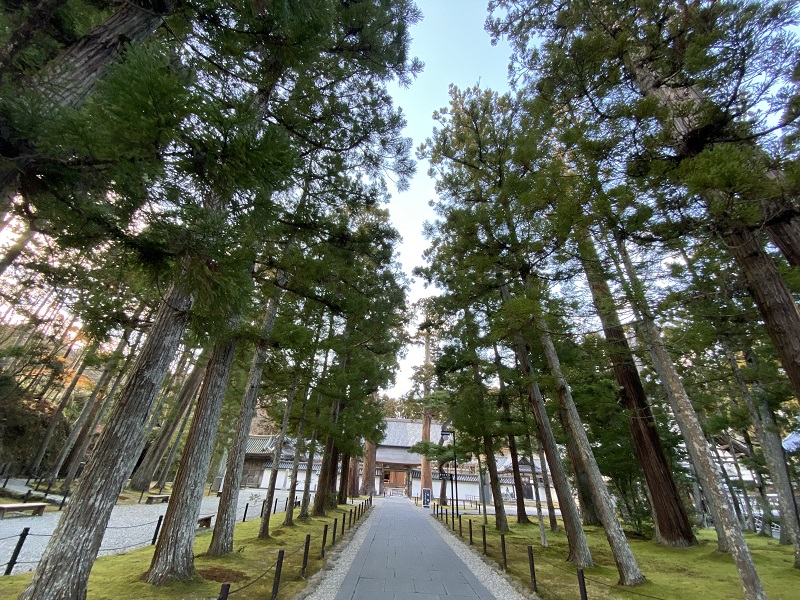 瑞巌寺の参道の風景写真